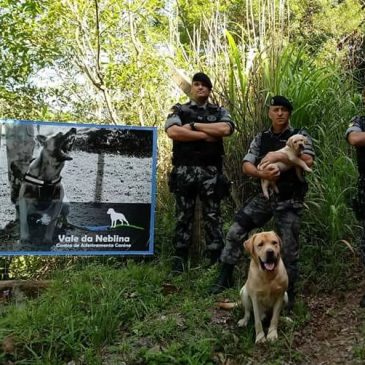 Dark – Novo Cão de Polícia do 15ºBPM