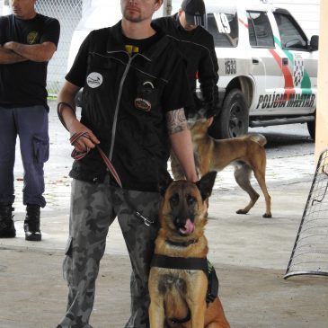 Testados e Aprovados